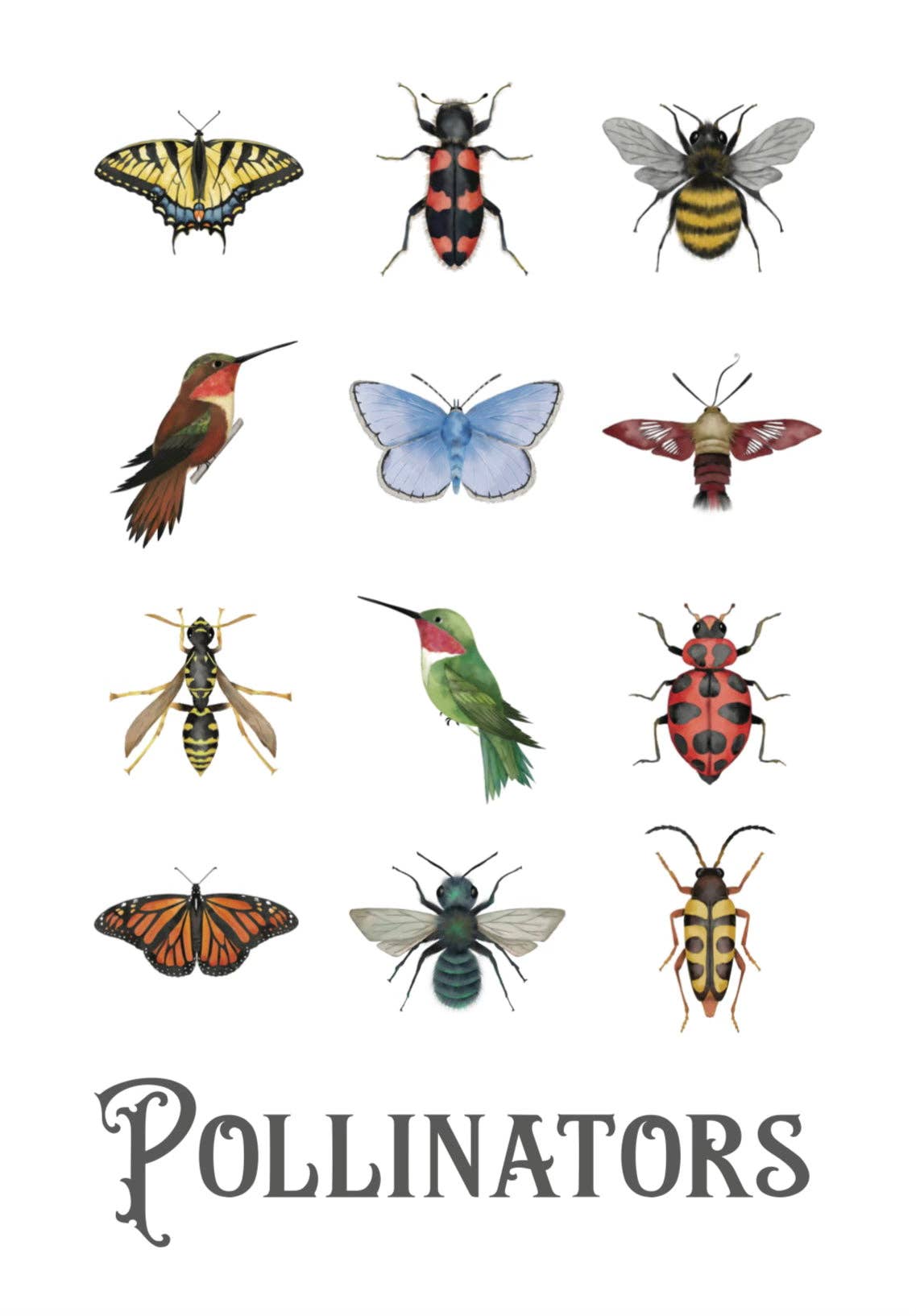 2024 Watercolour Paintable Calendars from Beam Paints