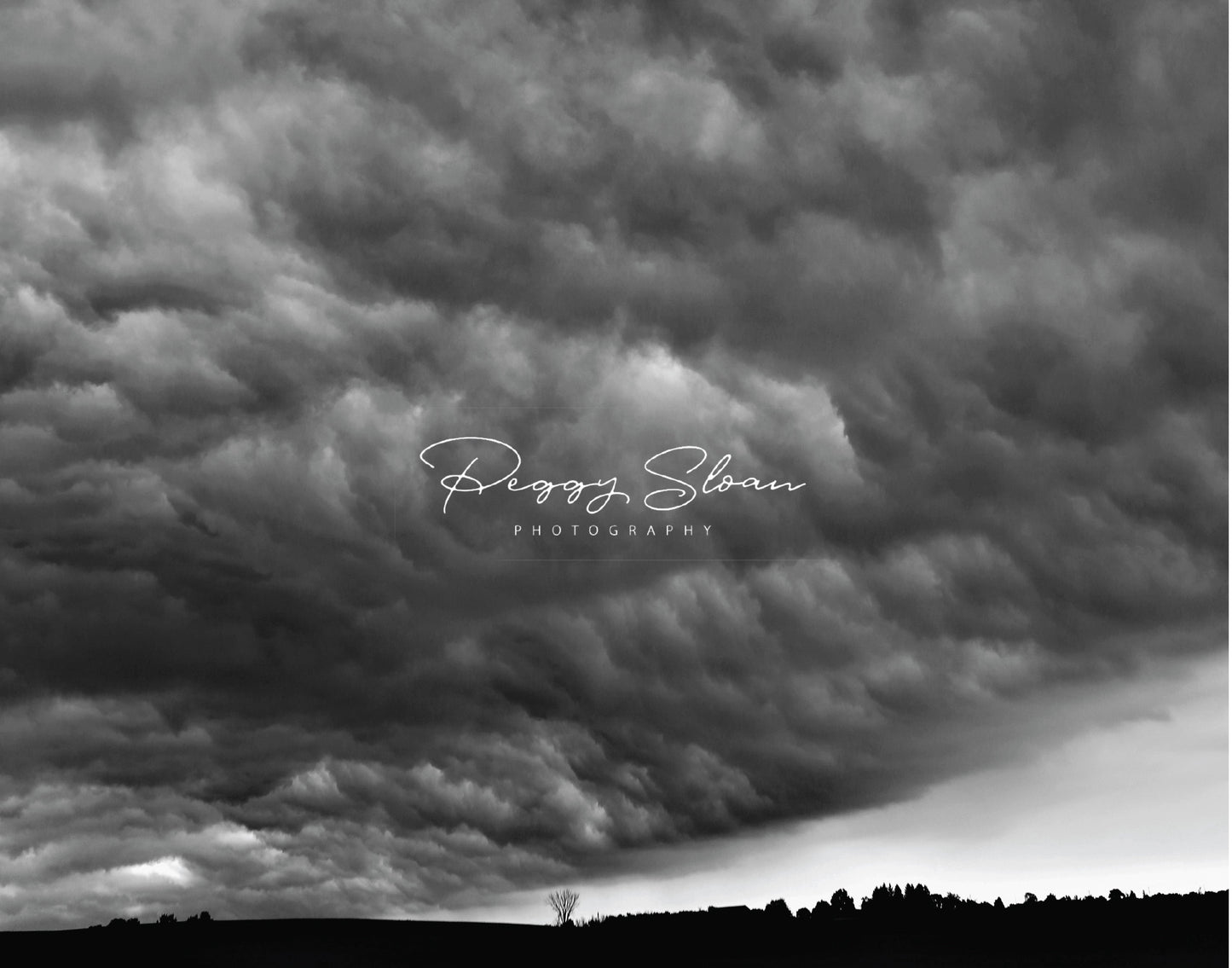 43. Storm Approaching, Peggy Sloan