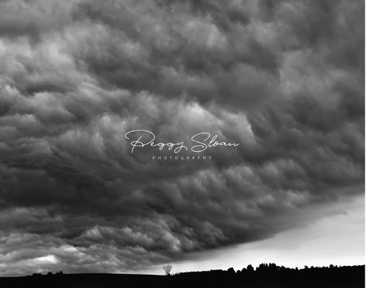 43. Storm Approaching, Peggy Sloan