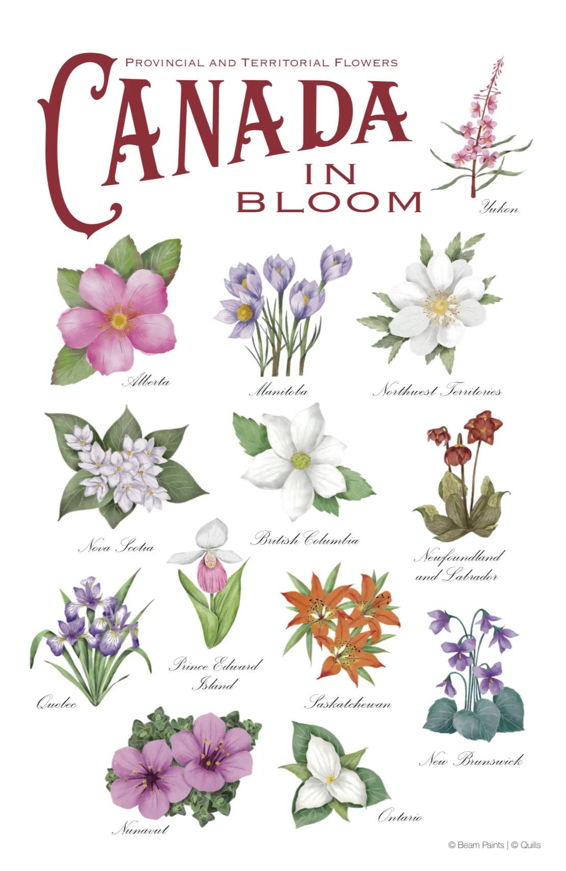 2024 Watercolour Paintable Calendars from Beam Paints